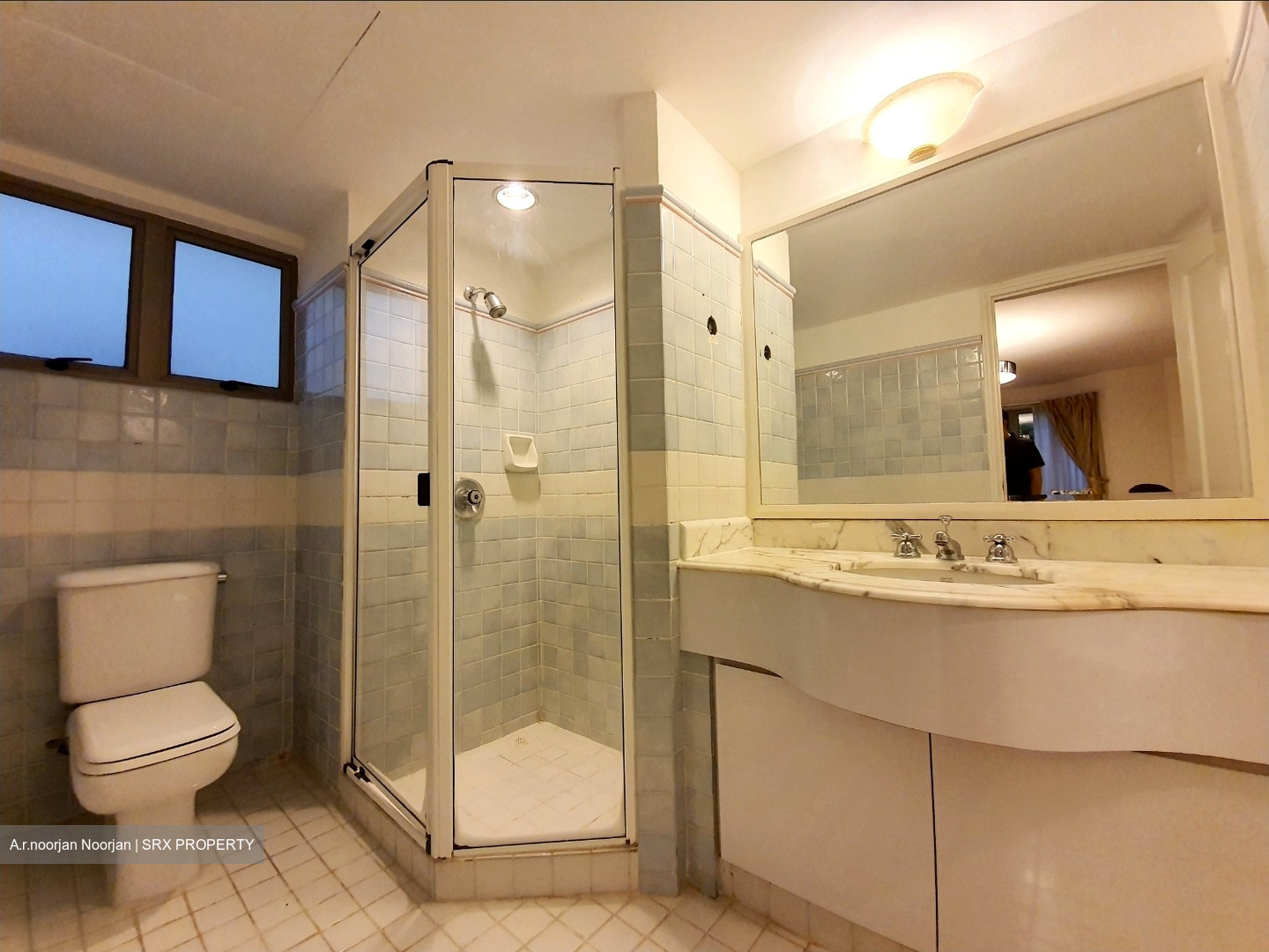 Cavenagh Lodge (D9), Apartment #462534921